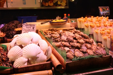 Concha shells and oysters
