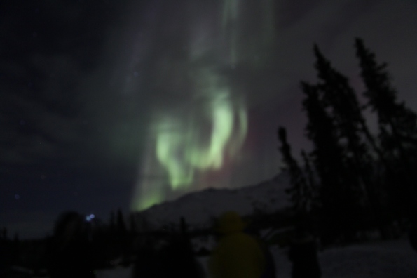 Aurora borealis in Wiseman
