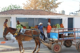 Fruit and veg shop in Cuba