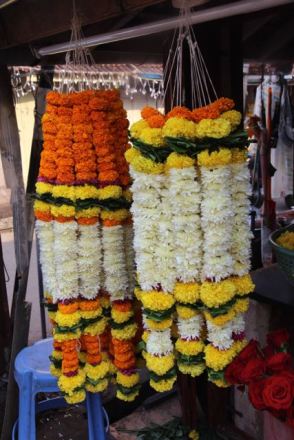 Flowers for Diwali