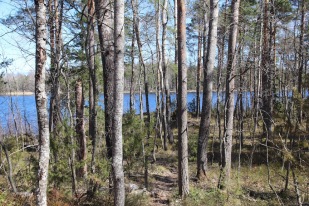 Pappilanniemi nature trail