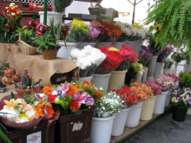 Algeciras flowers