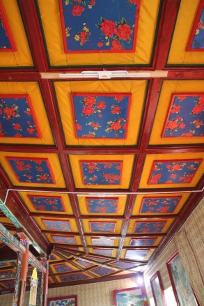 Aryapala ceiling
