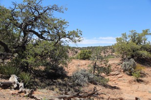Views in Betatakin, Navajo National Monument