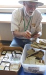 Explaining fossils, Florissant Fossil Beds